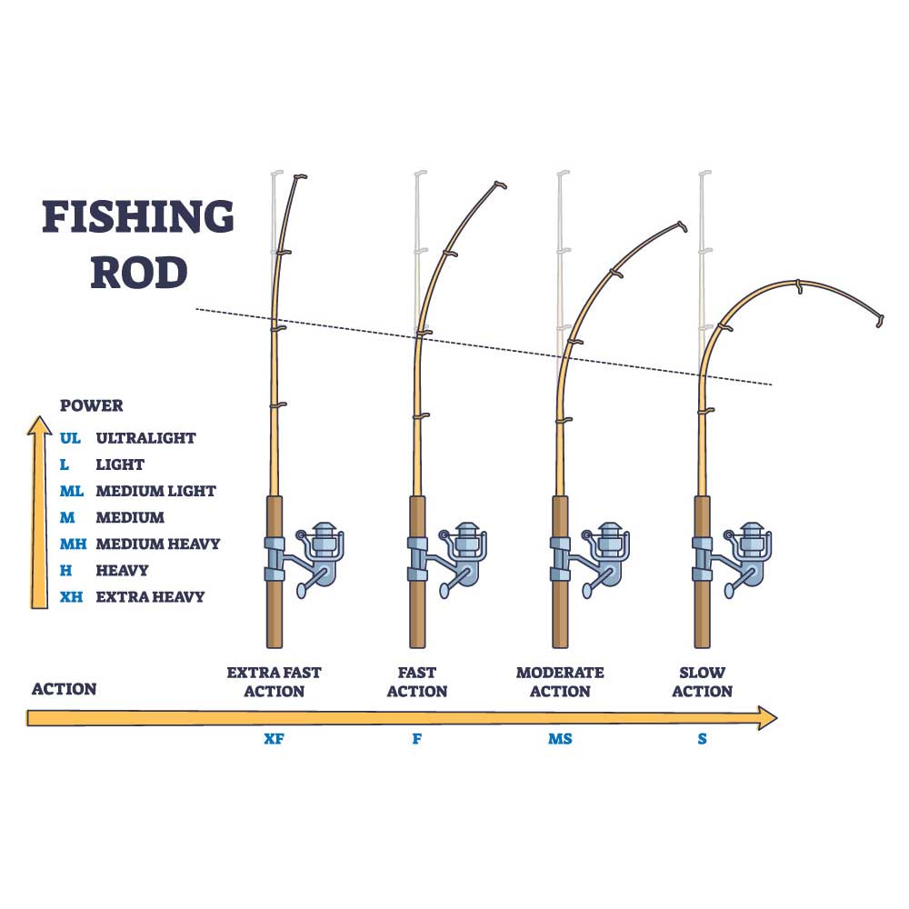 Diagram of a fishing rod's power and action graph