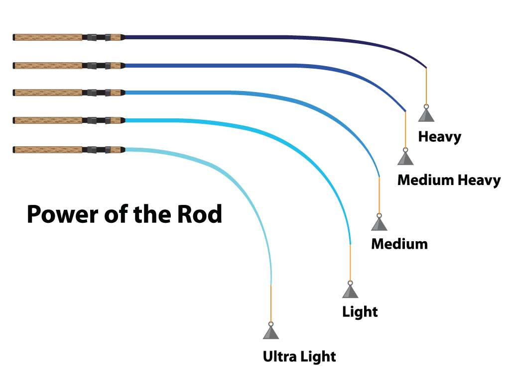 Diagram of Power of Fishing Rod