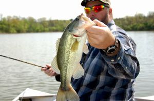 Best Bass Fishing Rods in 2023: Fishing Rod Buyers Guide
