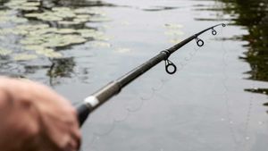 Best Telescopic  Fishing Rods  | Our Top 5 Picks for 2024