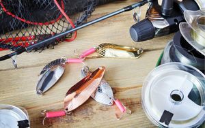 Best Fishing Lures Spoons: Top 12 Options For You