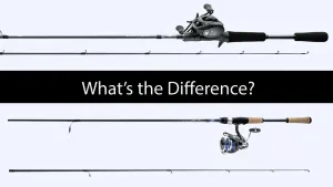 Casting and Spinning Rods Explained - Learn the Difference with Pictures