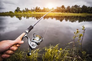 What is the Best Gear Ratio for a Walleye Reel?