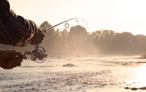 What Rod Power is Best for Walleye? A Comprehensive Guide