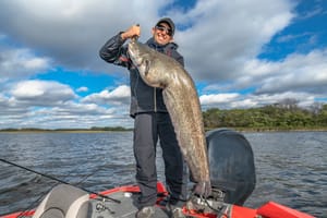 The Ultimate Guide to Choosing the Best Action Rod for Catfish