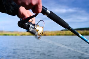 The Ultimate Guide to Choosing the Right Pound Test for Walleye Jigging